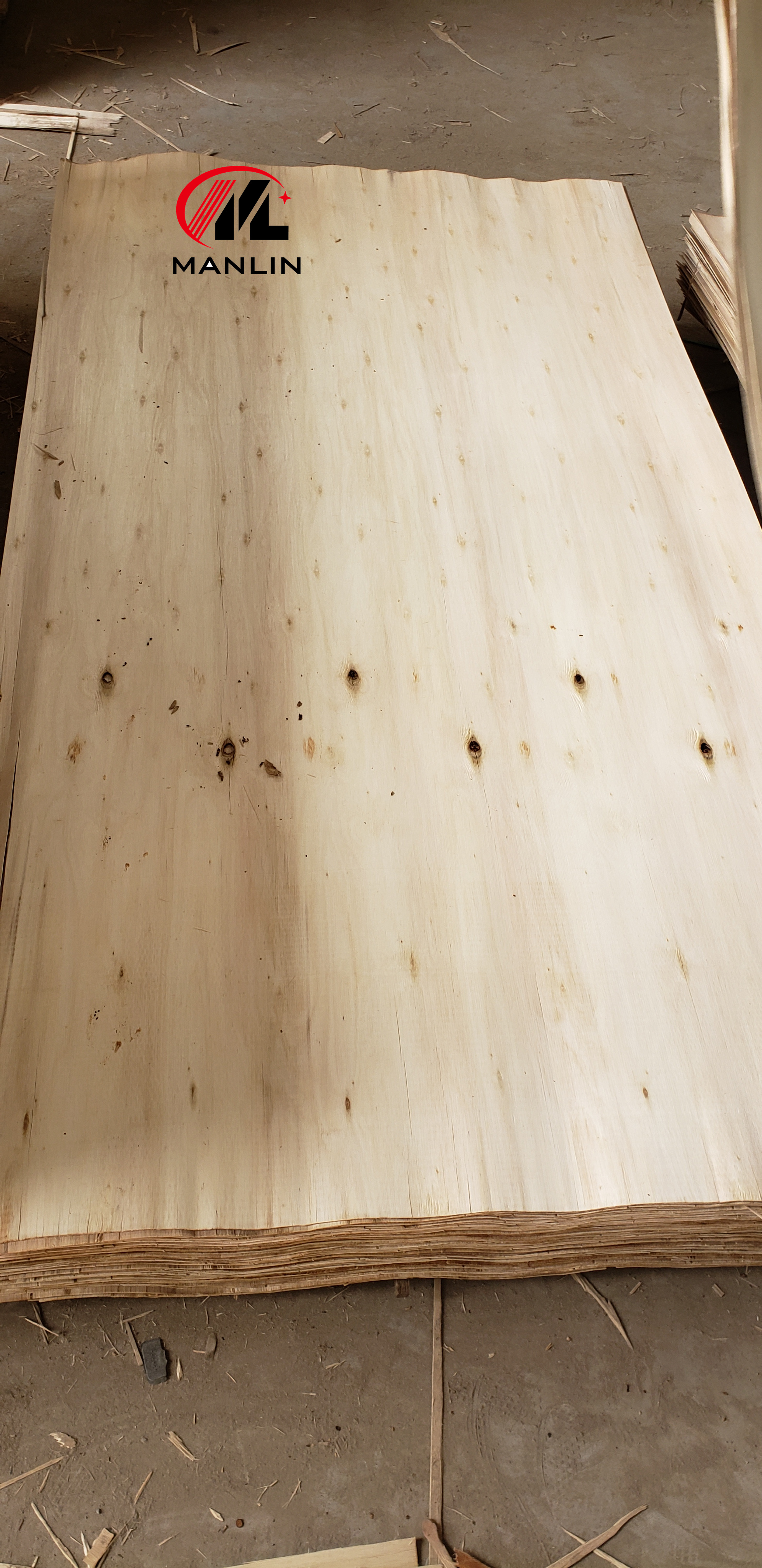 Eucalyptus veneer